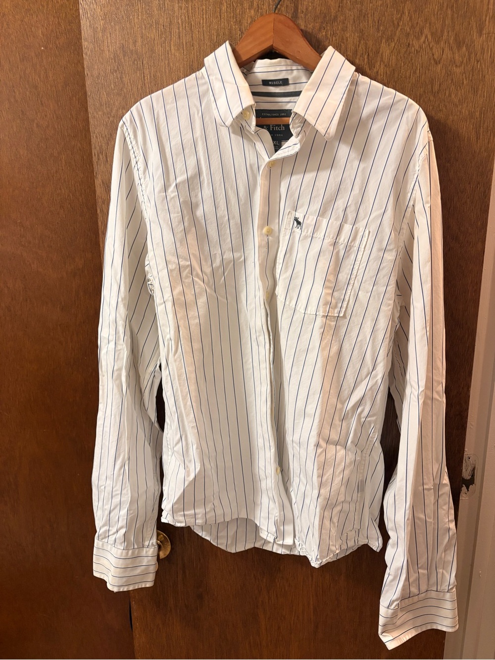 Abercrombie & Fitch Men's White Blue Pinstripe Button-Down Shirt(npt)